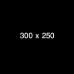 300 x 250